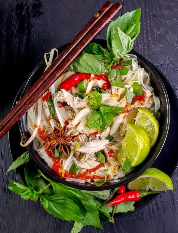 Vietnamese Pho in the Slow Cooker