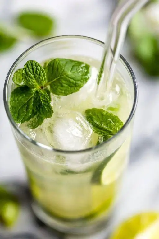 Virgin Mojito