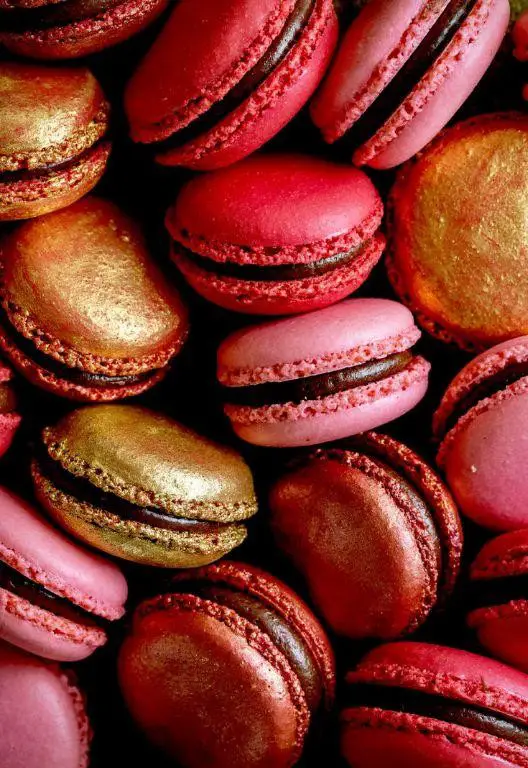 Wild Black Cherry Macarons